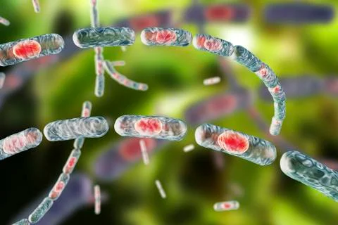 Anthrax bacteria, illustration Stock Illustration