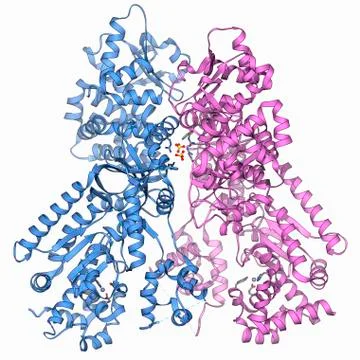 Anthrax lethal factor molecule 스톡 일러스트