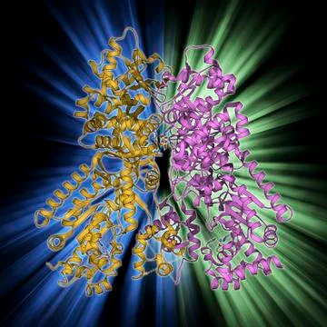 Anthrax lethal factor molecule 스톡 일러스트