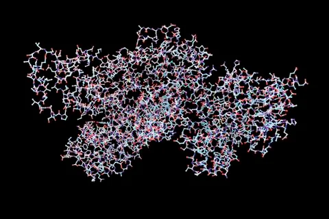 Anthrax lethal toxin molecule Stock Illustration