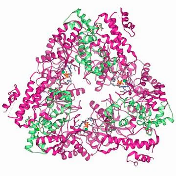 Anthrax oedema factor molecule Stock Illustration