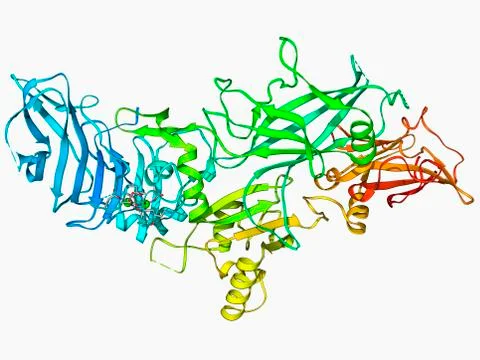 Anthrax protective antigen molecule Stock Illustration