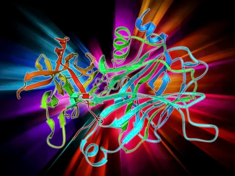 Anthrax protective antigen molecule Stock Illustration