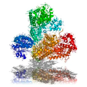 Anthrax toxin, molecular model Stock Illustration