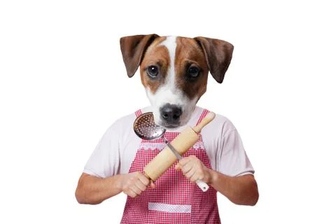 Anthropomorphic dog with kitchenware Stock Photos