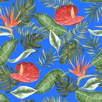 Anthurium and strelitzia seamless pattern. Large red, orange, pink, flowers and Stock Illustration