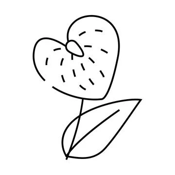 Anthurium flower line icon vector illustration Illustrazione stock