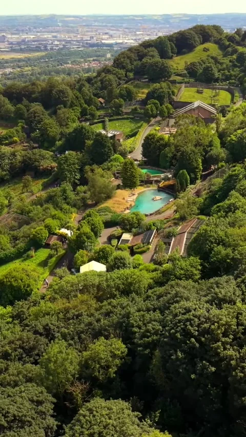 Anti-clockwise 60FPS vertical social ratio aerial video of Belfast Zoo and Stock Footage 342091904