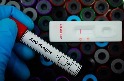 Anti-dengue - 写真素材
