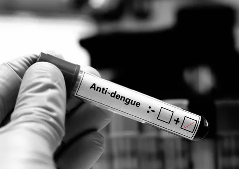 Anti-dengue + 写真素材