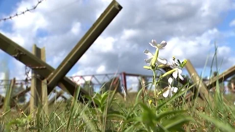 Anti-tank obstacles are installed on the paved road, barriers for the checkpoint Stock Footage 80074014