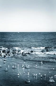 Antibes #155 Stock Photos