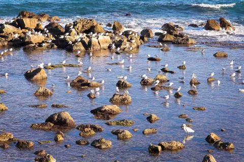 Antibes #157 Stock Photos