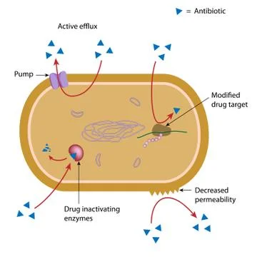 Antibiotic resistance Stock Illustration