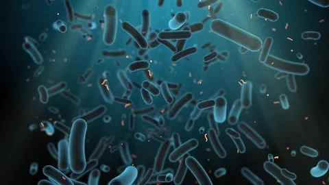 Antibiotic Resistant Bacteria Causing Infection And Inflammation Medical Co.. Stock Footage 330276330