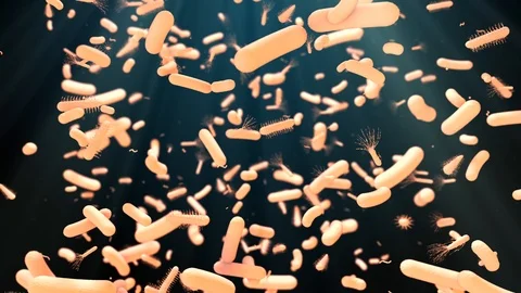 Antibiotic resistant bacteria cells science healthcare medicine Stock Footage 114259629