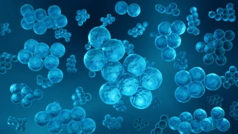 Antibiotic resistant Staphylococcus bacteria Stock Footage 155463363