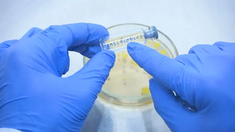Antibiotics 01 Stock Footage 109045406