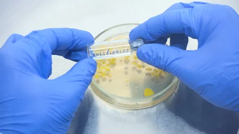 Antibiotics 02 Stock Footage 109045977