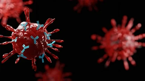 Antibodies attack and destroy the coronavirus. SARS-CoV-2 COVID-19 pandemic. Video stock 157968660