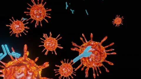 Antibodies attack and destroy the coronavirus. SARS-CoV-2 COVID-19 pandemic cure Stock Footage 158005576