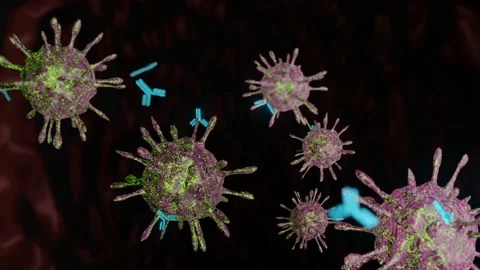 Antibodies attack and destroy the coronavirus. SARS-CoV-2 COVID-19 pandemic cure Stock Footage 158020352
