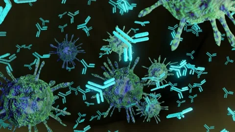 Antibodies attack and destroy the coronavirus. SARS-CoV-2 COVID-19 pandemic cure Stock Footage 158041408
