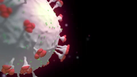 Antibodies attack and destroy the virus Stock Footage 282153519