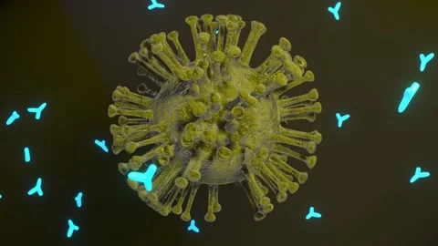 Antibodies attack the cells of the virus. Coronavirus.	 Stock Footage 168531606