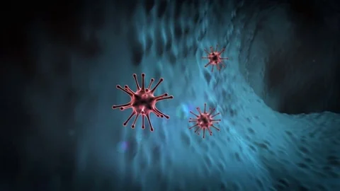 Antibodies attack the virus, Coronavirus atack the lungs cell Stock Footage