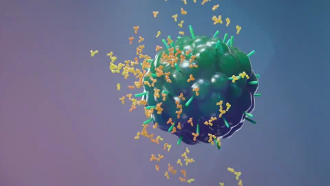 Antibodies attacking corona virus, vaccine herd immunity. 3d render animation Stock Footage