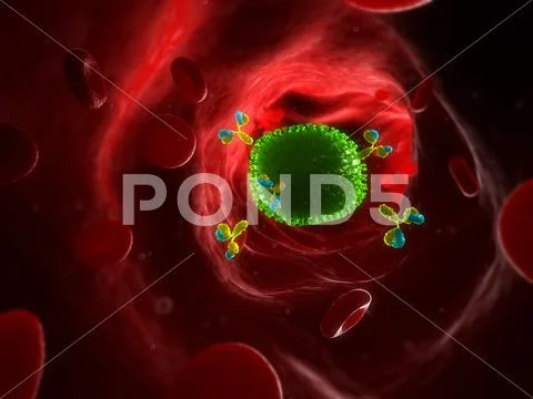 Antibodies attacking flu virus, artwork Stock Illustration