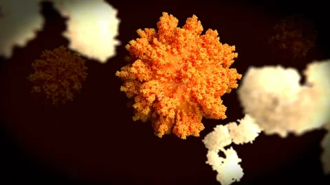 Antibodies binding to coronaviruses Stock Footage 131759883