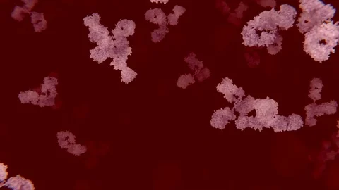 Antibodies in the blood, animation Stock Footage