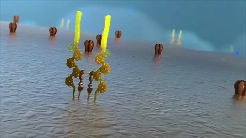Antibodies inhibit receptor aggregation, activating immune cells to kill tumors. Stock Footage 345199856