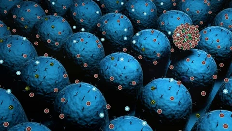 Antibodies kills the viruses Stock Footage 125637981
