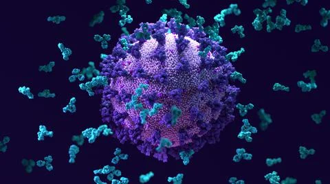 Antibodies work to neutralize SARS-CoV-2 by binding to the S protein Stock Illustration