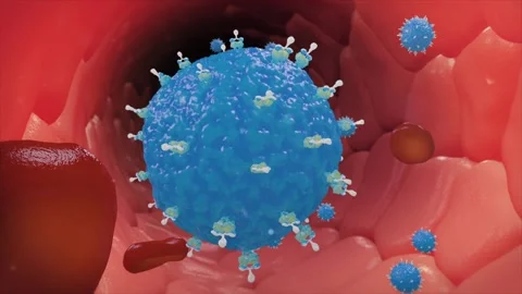 Antibody-activated T cells flow through blood vessels Stockbeeldmateriaal 345012222