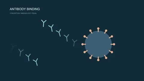 Antibody Binding Illustration with Falling Particles on Blue Background Stock-Footage 348584961