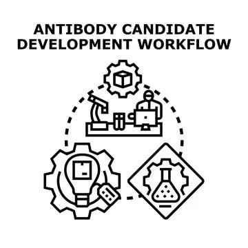 Antibody candidate development workflow process Illustrazione stock