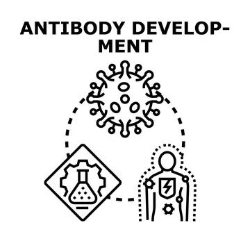 Antibody developing process for immune system protection Stock Illustration