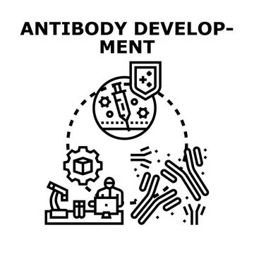 Antibody development process for immunization and medical research Stock Illustration