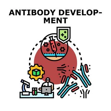 Antibody development process for immunization and medical research 스톡 일러스트