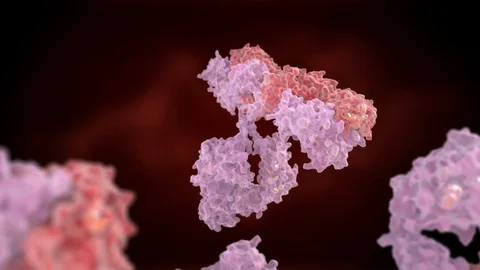 Antibody Vidéo 103420999