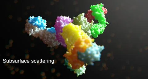 Antibody human immune system biology 3D Model