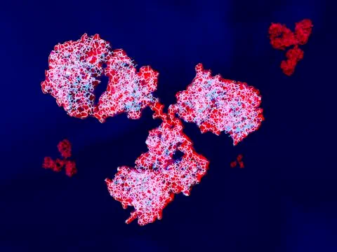 Antibody, illustration Stock Illustration