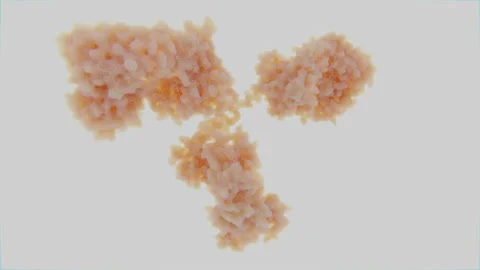 Antibody molecule, loopable turntable animation Stock Footage 132070691