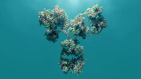 Antibody Stock Photos