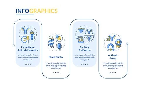 Antibody production process rectangle infographic vector Stock Illustration