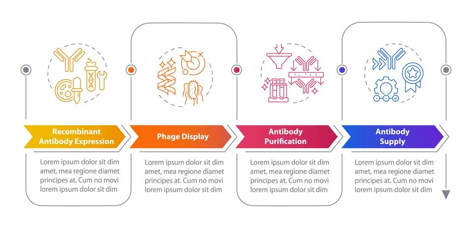 Antibody production process rectangular infographics Ilustración de archivo